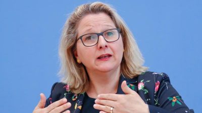 Umweltministerin will deutschen Ökostrom-Anteil deutlich steigern – trotz wachsendem Bedarf an Auslandsstrom
