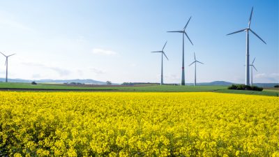 Bund-Länder-AG zur Windkraft liegt auf Eis – Fachpolitiker über Mindestabstand zerstritten