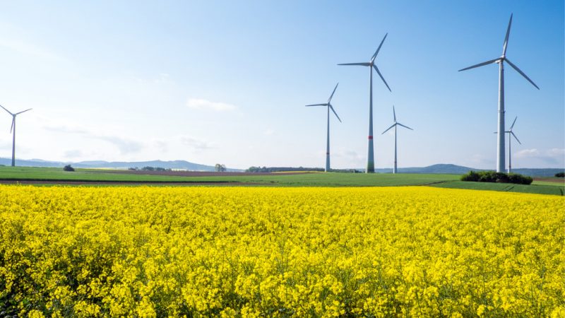 Bund-Länder-AG zur Windkraft liegt auf Eis – Fachpolitiker über Mindestabstand zerstritten