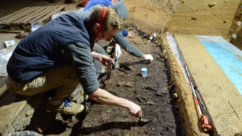 Ausgrabung von Hinterlassenschaften des Homo sapiens in der Bacho-Kiro-Höhle