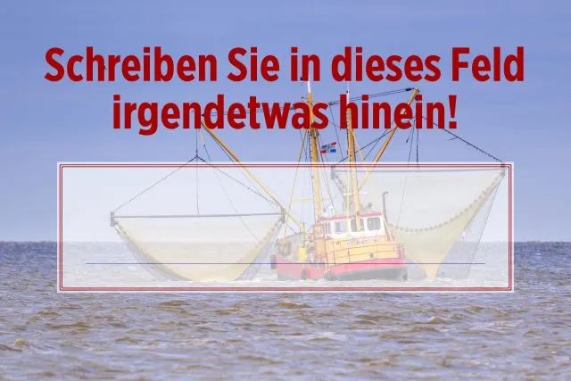 Ostfriesenabitur Aufgabe 2 - Deutsch