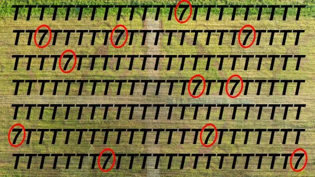 Sinne schärfen mit Suchbild 7 in T - Lösung