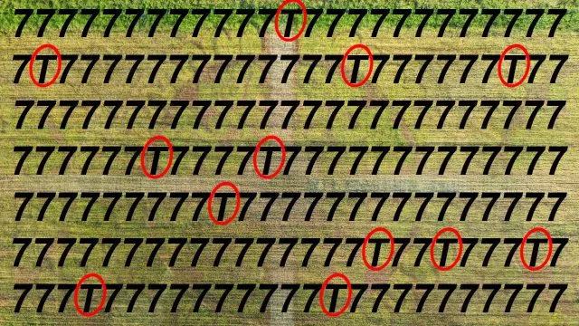 Sinne schärfen mit Suchbild T in 7 - Lösung