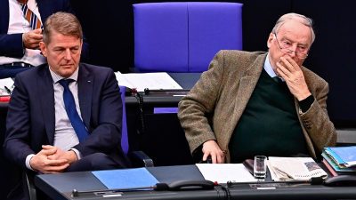 AfD-Abgeordneter Hilse scheitert erneut bei Wahl zum Bundestagsvizepräsidenten