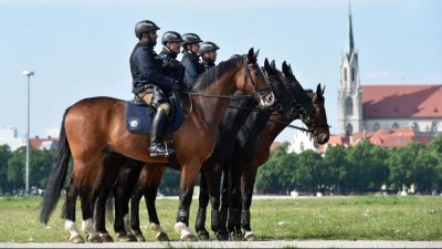 BKA-Chef Münch: Täglich werden 200 Polizisten Opfer von Gewalt