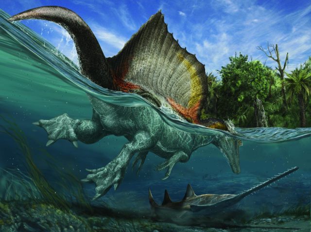 Spinosaurus auf der Jagd in kreidezeitlichen Gewässern der Sahara