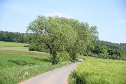 Mailied – Von Johann Wolfgang von Goethe