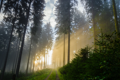 Morgendämmerung – Von Joseph Freiherr von Eichendorff