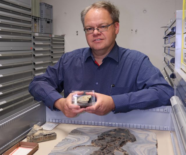 Rainer Schoch mit dem Fossil des Ursalamander