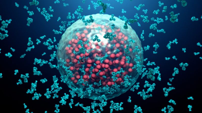 Braunschweiger Forscher finden Antikörper, der neuartiges Coronavirus neutralisiert