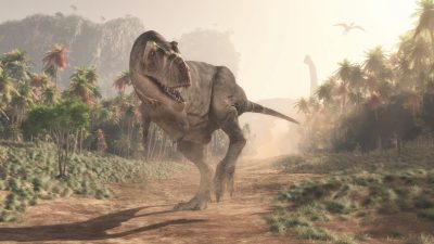 T. rex als Spitzensportler: „Sein Leben war ein Marathon, kein Sprint“