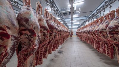 Bundesregierung für Verabschiedung strengerer Gesetze in der Fleischindustrie