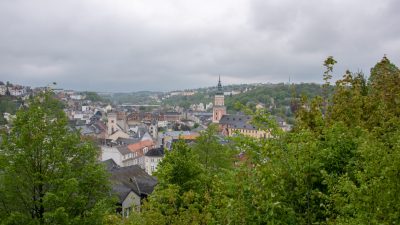 Landkreis Greiz in Thüringen und Corona: Landrätin fordert, gesunden Menschenverstand zu benutzen