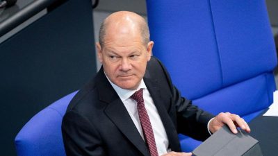 Kritik an Reformplan von Scholz für Bundesfinanzaufsicht