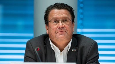 AfD scheitert in Karlsruhe mit Eilantrag zu Brandner-Absetzung