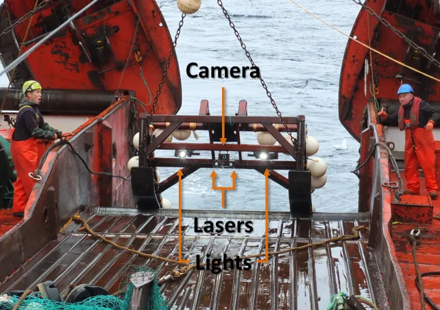 Videoschlitten zur Erforschung der Weichkorallen