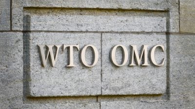WTO kann sich nicht auf Interimsnachfolger für Chef Azevedo einigen