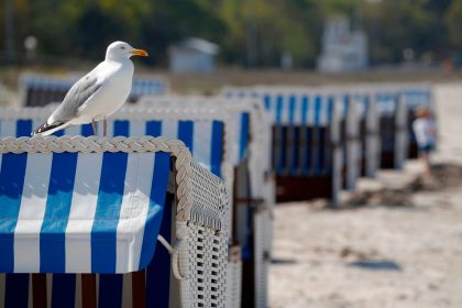 Schleswig-Holstein: Strandbesuch mit Reservierung per App