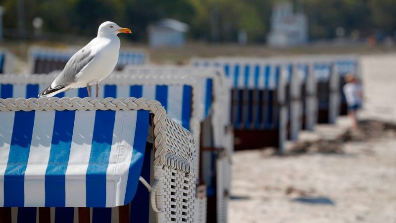 Schleswig-Holstein: Strandbesuch mit Reservierung per App