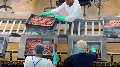 Großbritannien: SARS-CoV-2 in mehreren Fleischbetrieben festgestellt