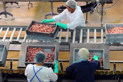 Großbritannien: SARS-CoV-2 in mehreren Fleischbetrieben festgestellt
