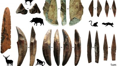 Archäologie: Ältester Beleg für Pfeil und Bogen außerhalb Afrikas