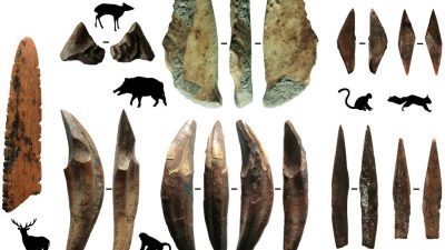 Archäologie: Ältester Beleg für Pfeil und Bogen außerhalb Afrikas