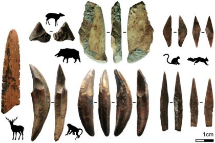 Archäologie: Ältester Beleg für Pfeil und Bogen außerhalb Afrikas