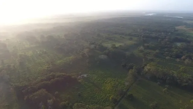 Blick auf Maya-Fundstätte Aguada Fénix