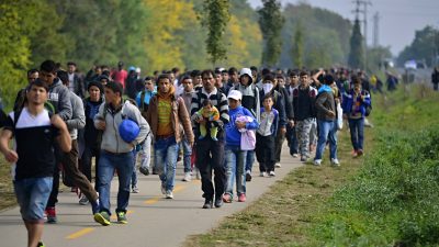 Zuwanderung: 327.000 Menschen mehr zugezogen als weggezogen