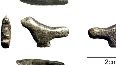 Archäologen entdecken 13.500 Jahre altes geschnitztes Vögelchen aus Knochen