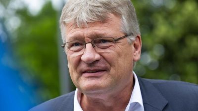 Meuthen stellt sich gegen AfD-interne Kritik beim Kalbitz-Ausschluss
