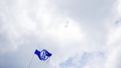 FC Schalke 04 plant Profi-Gehaltsobergrenze