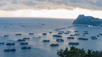 Illegale Fischerei zwischen Korea und Japan: Satellitenbilder zeigen massive chinesische „Dunkle Flotten“