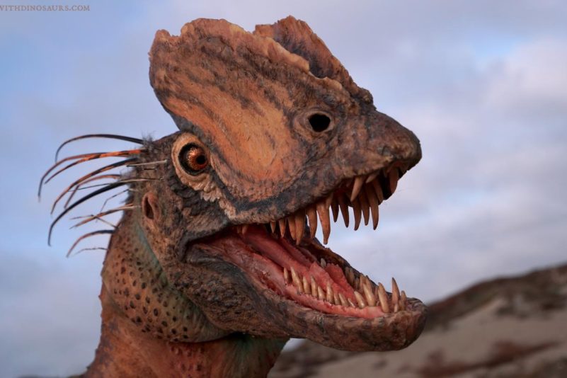 Dino Dilophosaurus Rekonstruktion