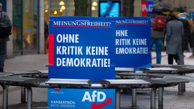 „Spiegel“: Die AfD erbt das Doppelte  – Nachlass von niedersächsischem Ingenieur 14,4 Millionen Euro wert