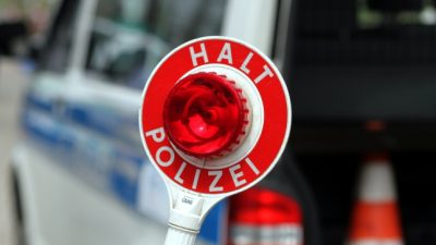 Meterhohe Palme im Auto – Polizei stoppt Saarländer