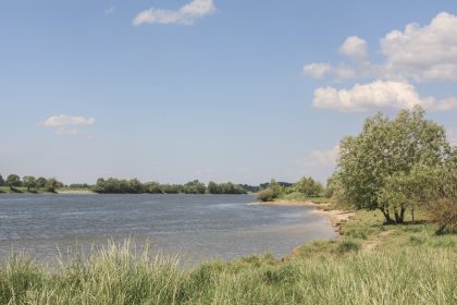 Niederbayern: Vermisste 13-Jährige offenbar in Donau ertrunken