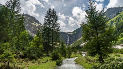 Österreich: Deutsche steckt beim Pilzesammeln im Morast fest