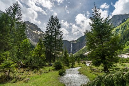 Österreich: Deutsche steckt beim Pilzesammeln im Morast fest