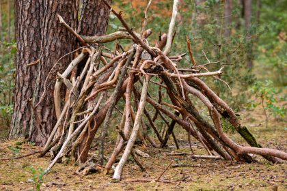 Thüringen: Kita-Gruppe findet bei Waldspaziergang kiloweise Marihuana