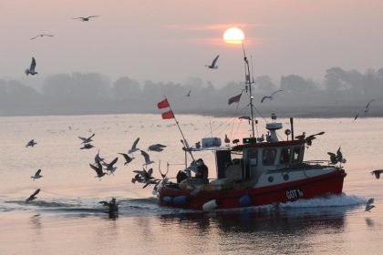 Zustand von Nord- und Ostsee schlechter denn je
