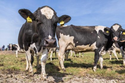 600 Mio Tonnen: Neue Höchstwerte beim Treibhausgas Methan