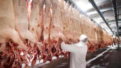 Fleischindustrie rechnet mit Klagen gegen Verbot von Werkverträgen und Leiharbeit
