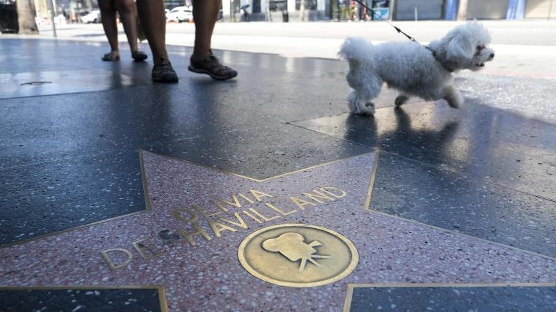 Hollywood trauert um „Vom Winde verweht“-Schauspielerin Olivia de Havilland