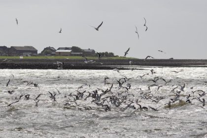 Greenpeace warnt: Alte Bohrlöcher lassen Methan aus der Nordsee entweichen