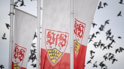 Deutliche Fan-Kritik an Staatshilfe für Bundesliga-Clubs