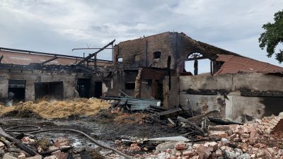 Tragisches Unglück in Niedersachsen: Bauernhof in Flammen – Dutzende Kühe verbrannt