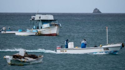 Ecuador: Chinesische Fischereiflotte operiert ohne Ortungs-Syteme nahe Galapagos