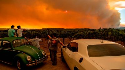 Bereits 400.000 Hektar Land durch Waldbrände in Kalifornien zerstört